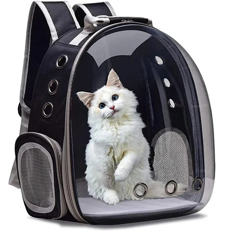 Travel  & Carriers