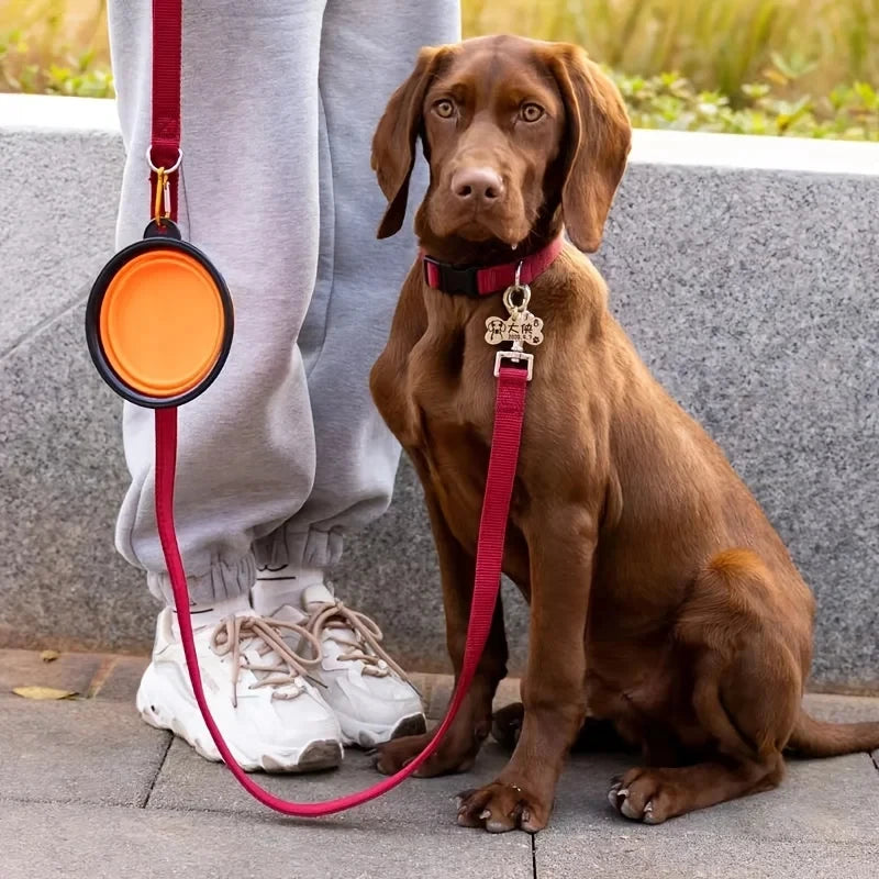 SnapBowl - Collapsible Travel Pet Bowl