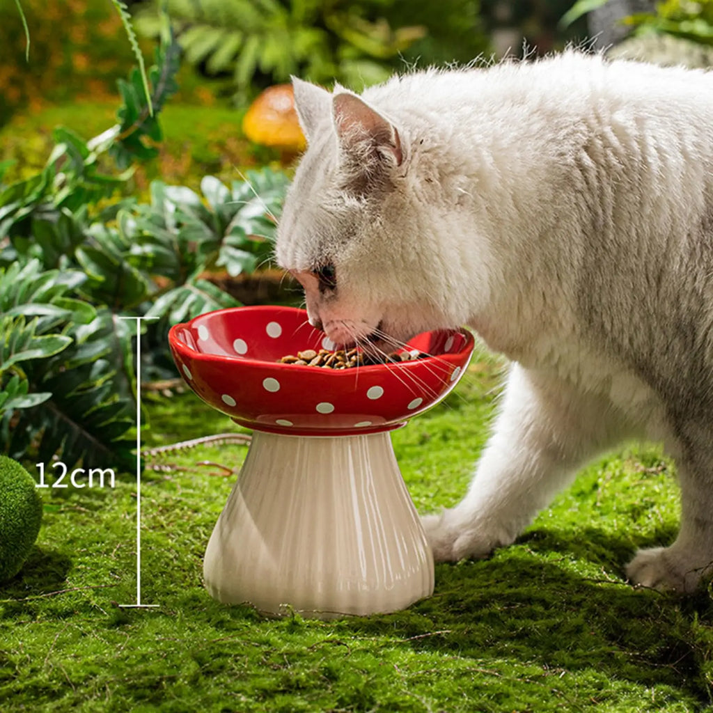 ShroomBowl - Elevated Ceramic Cat Dish