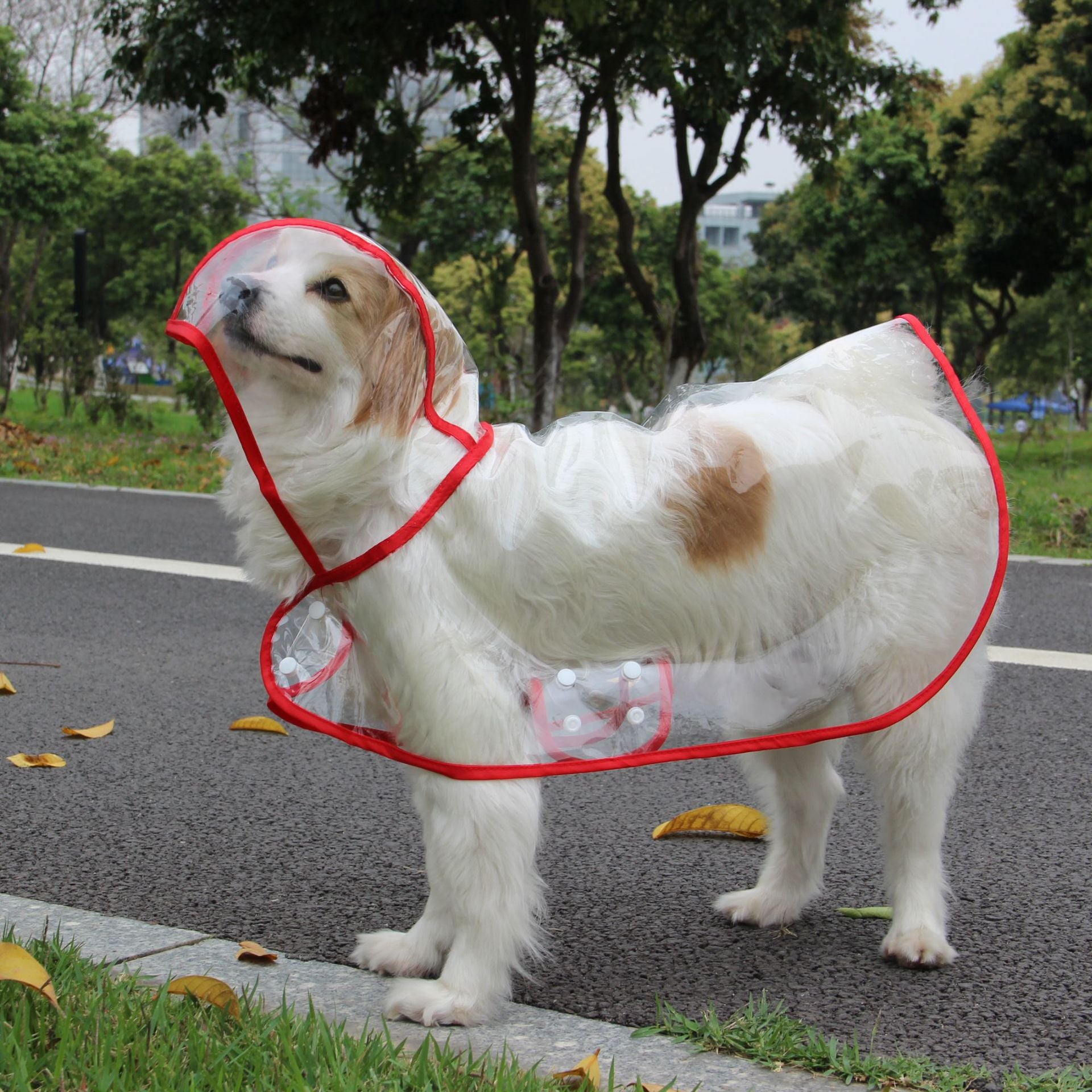DrayPaws Waterprof Dog Raincoat