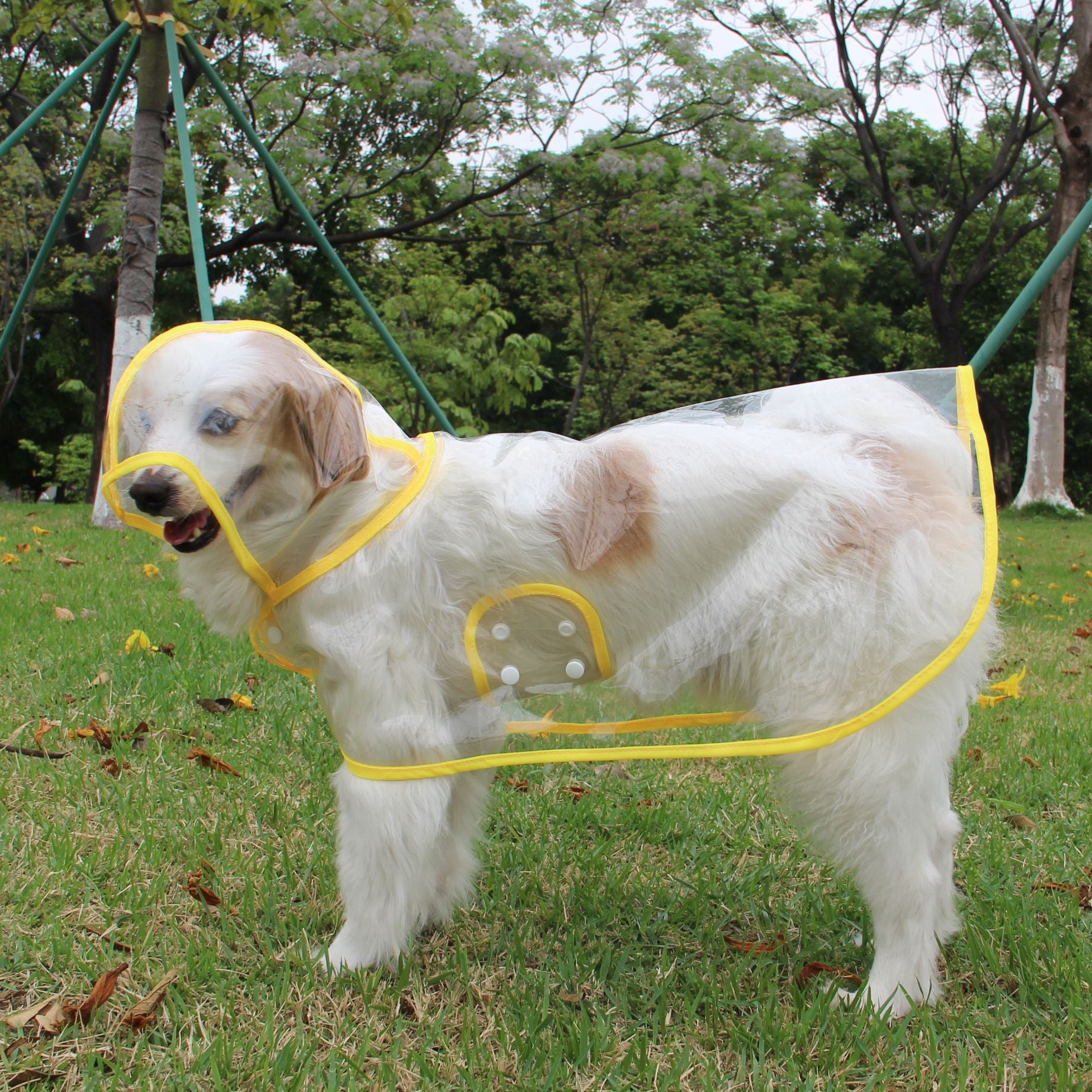 DrayPaws Waterprof Dog Raincoat