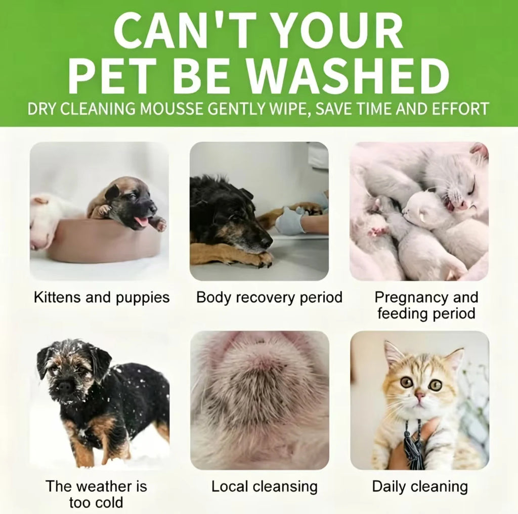 EcoFoam- Waterless Pet Dry Shampoo
