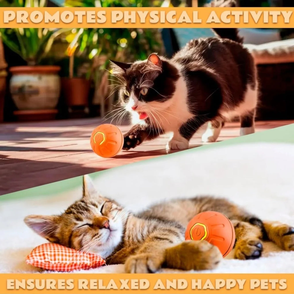 SmartRoll - Gravity Electric Pet Ball