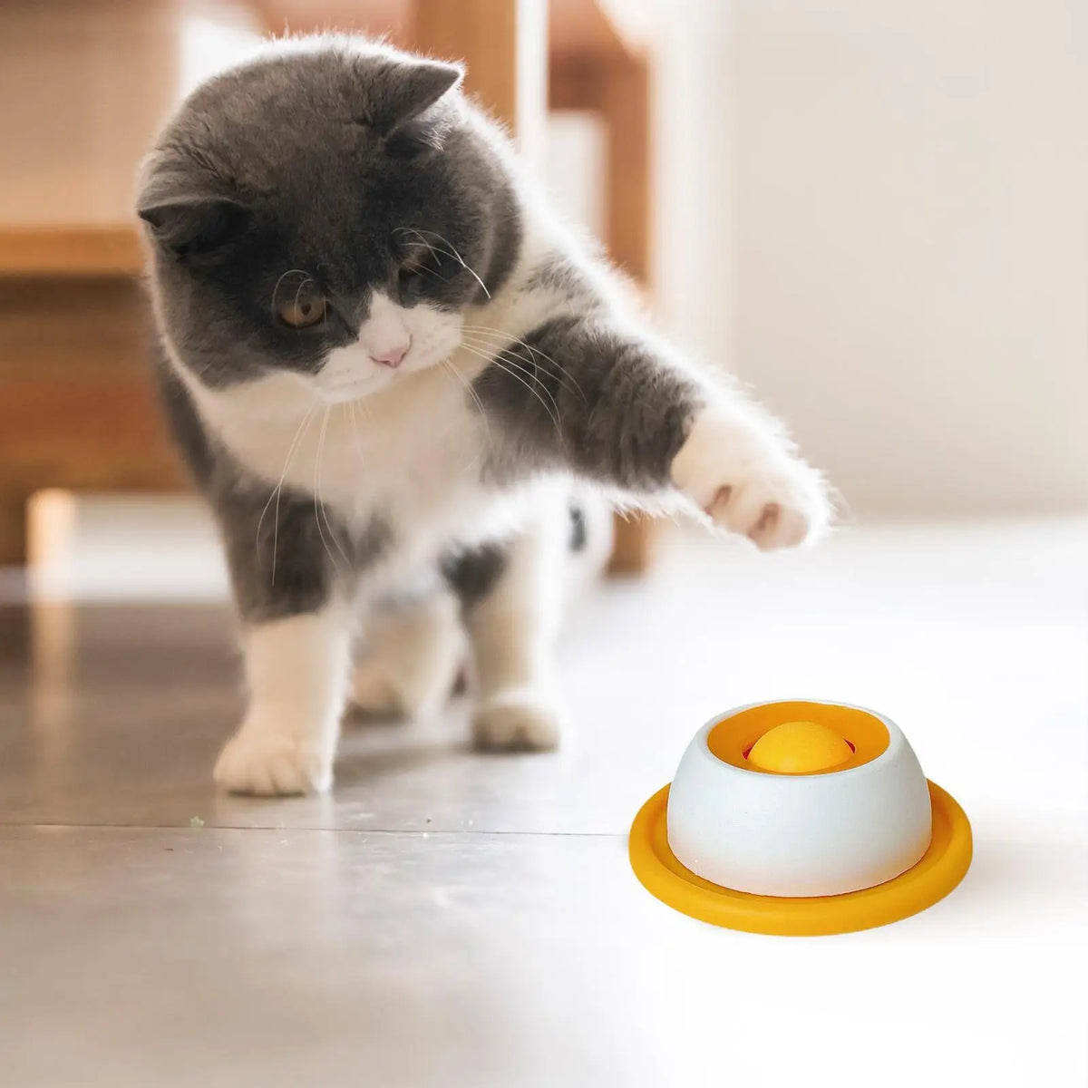 AntProof -Smart Peet Feeding Bowl