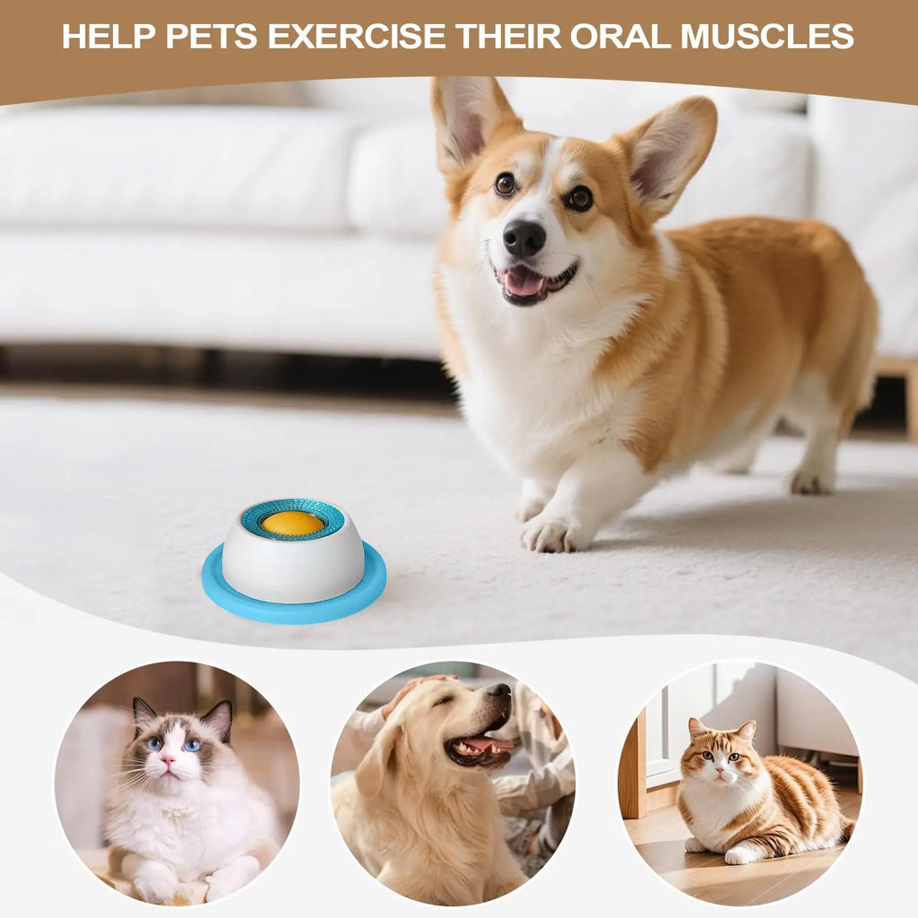 AntProof -Smart Peet Feeding Bowl